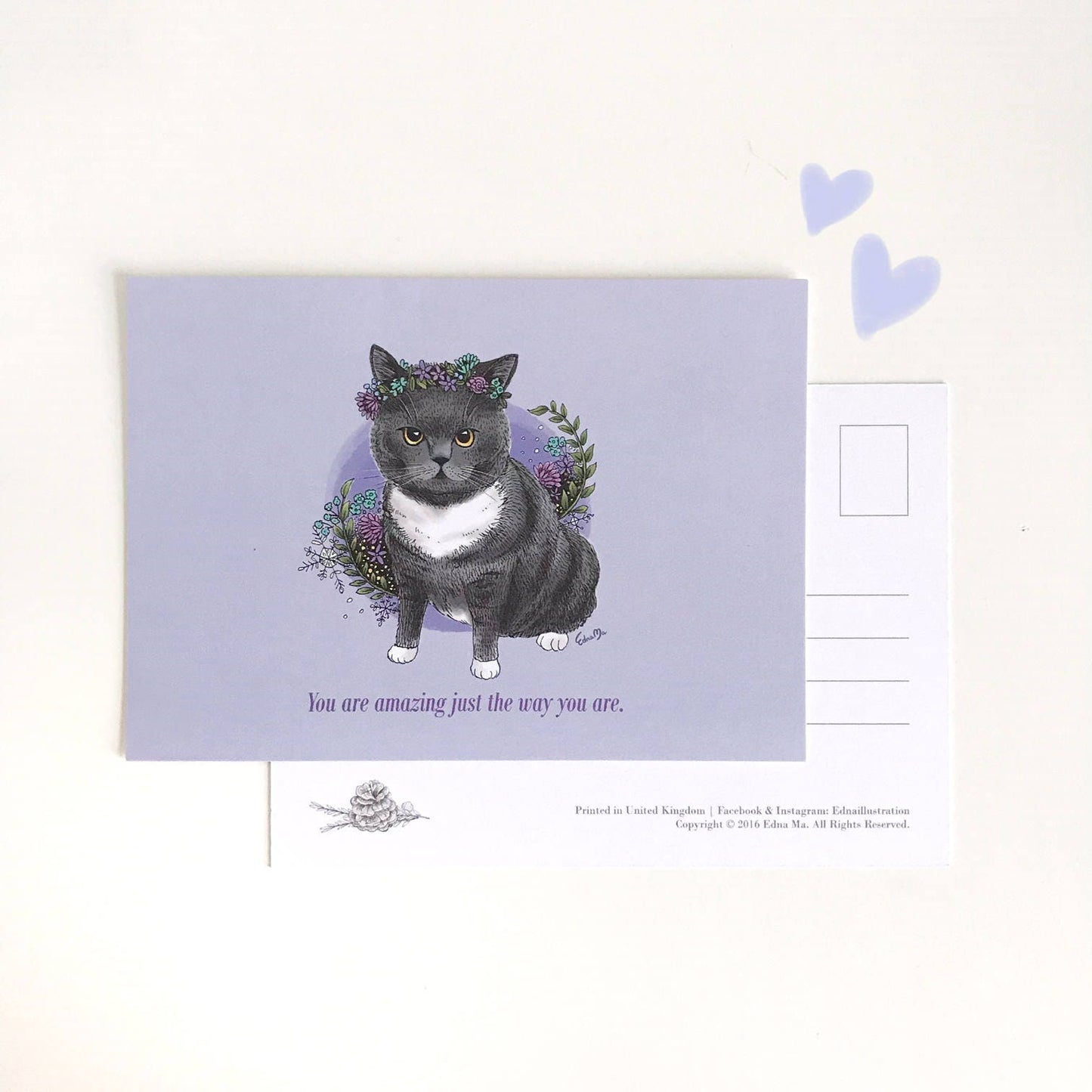 Grey Cat Postcard – You're Amazing Just the Way You Are