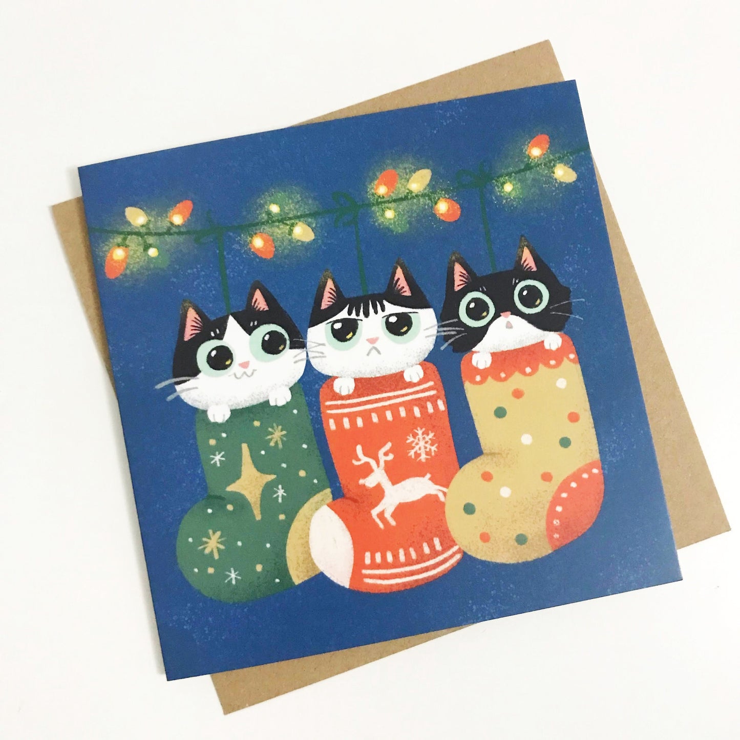 Adorable Cute Cat Christmas Card – Tuxedo Cats Warming Up in Christmas Socks